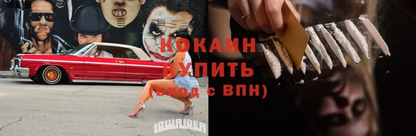 бошки Каменка