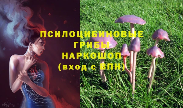 бошки Каменка