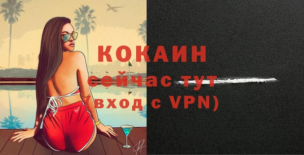 бошки Каменка