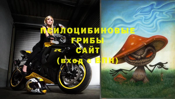бошки Каменка