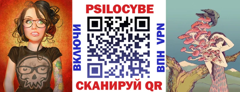 Купить  Хадыженск  Псилоцибиновые грибы Psilocybe 
